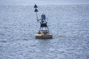 九游官网入口活动-中方蝶泳入水角度更锐利？图解数据分析，中国蝶泳厉害吗