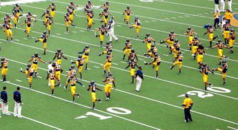 九游娱乐在线-国家队教练团队协作存在的问题，教练员队伍建设  第2张